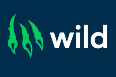 Казино wild-io онлайн отзывы